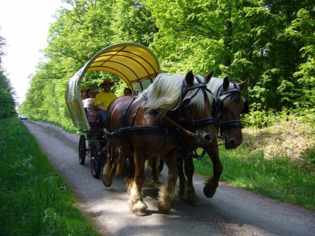 tourisme France