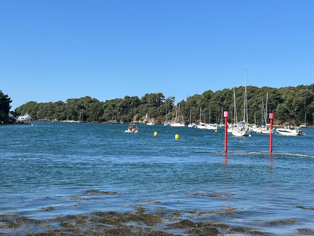 Presqu'île de Conleau - Photo 7