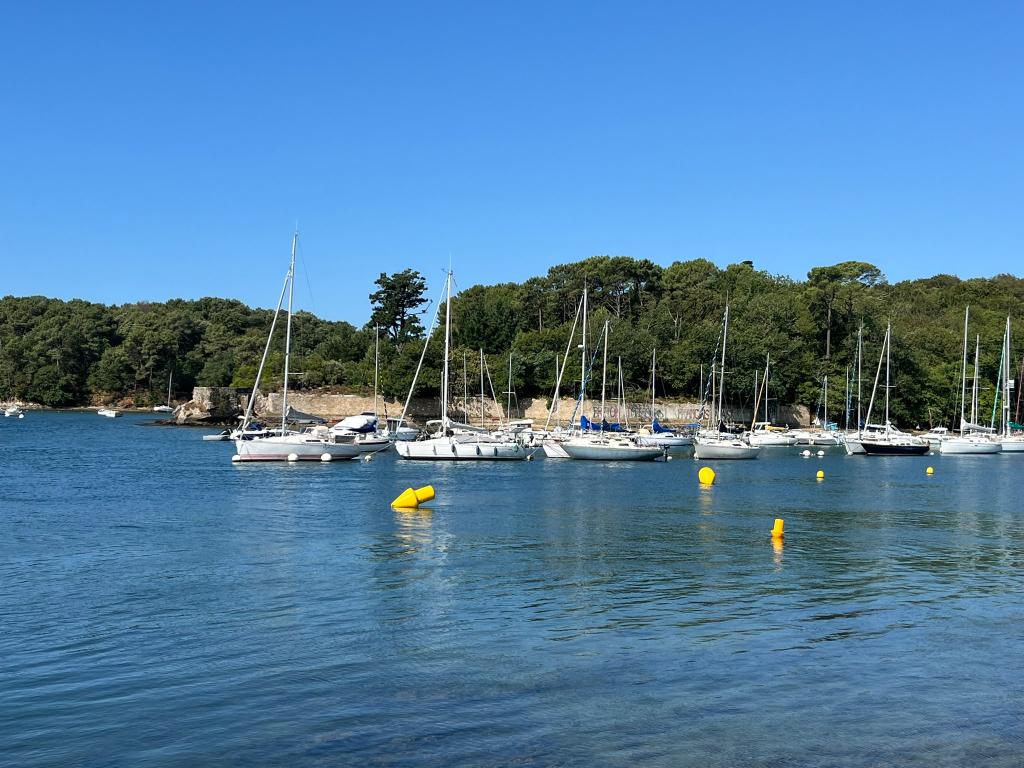 Presqu'île de Conleau - Photo 9