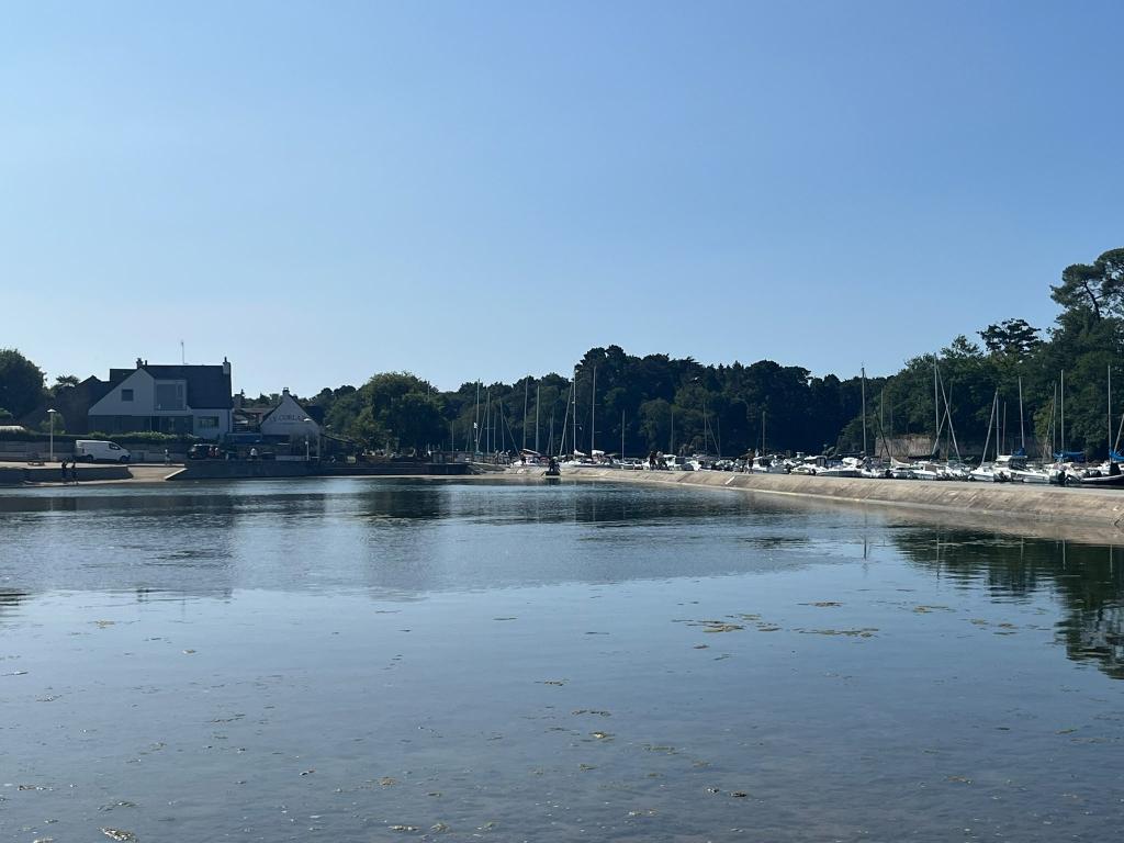Presqu'île de Conleau - Photo 10