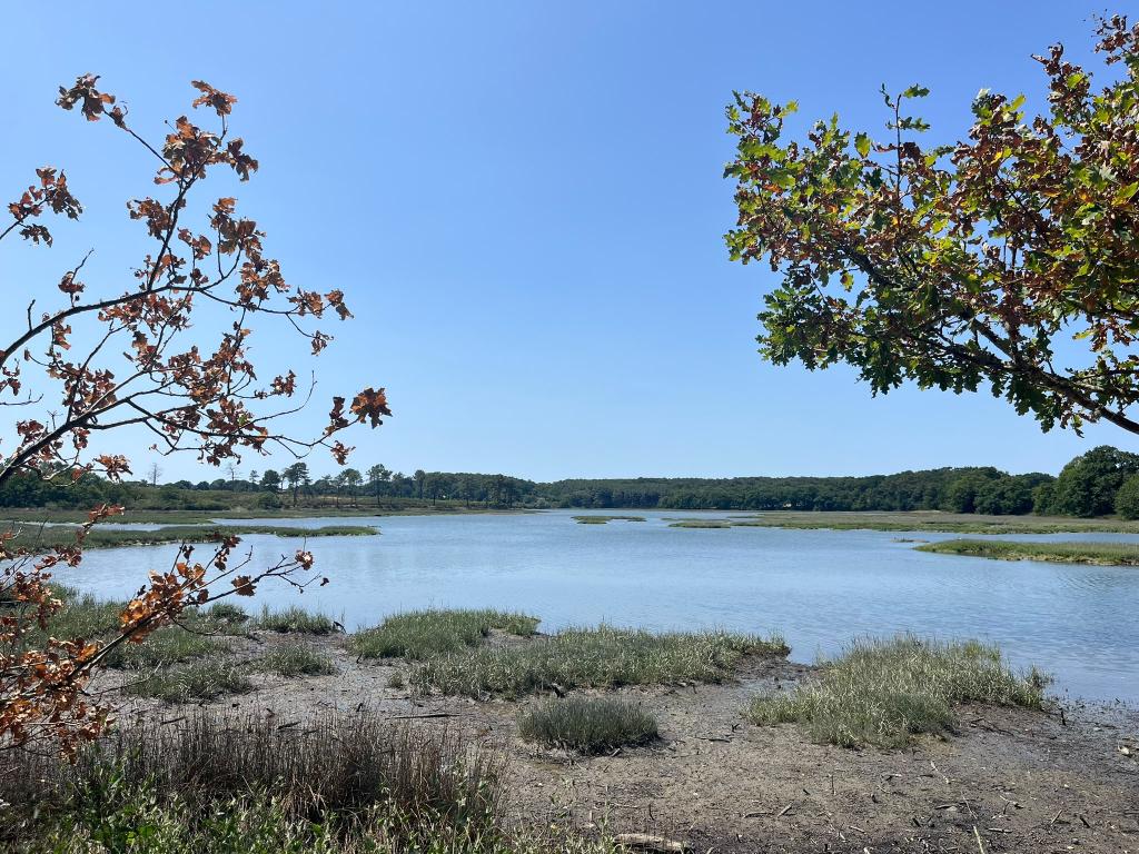 Presqu'île de Conleau - Photo 11