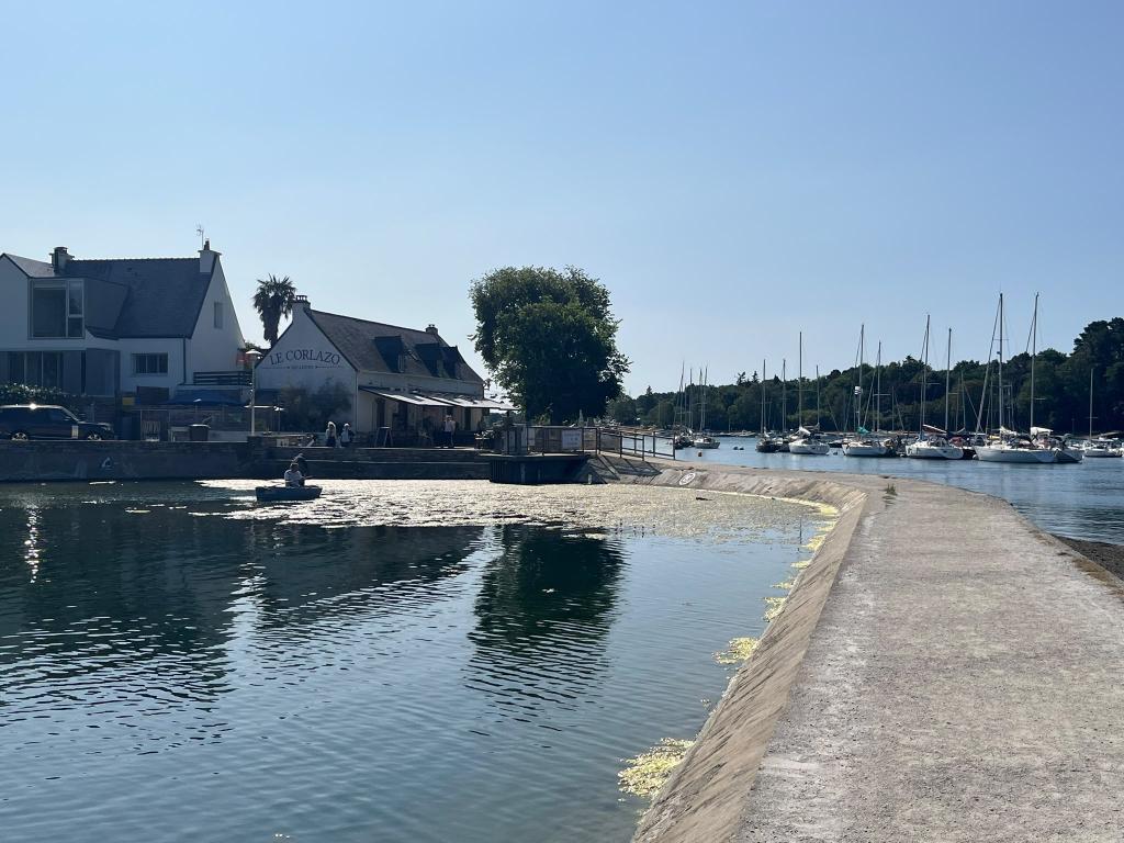 Presqu'île de Conleau - Photo 12