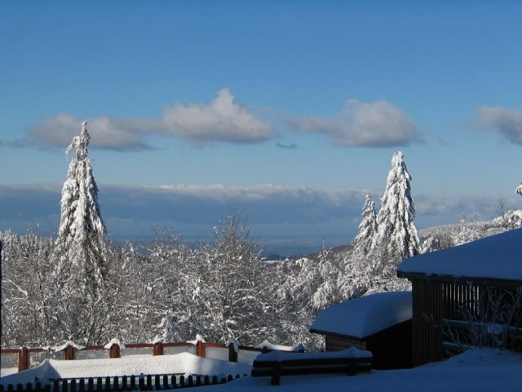 Camping Les Myrtilles