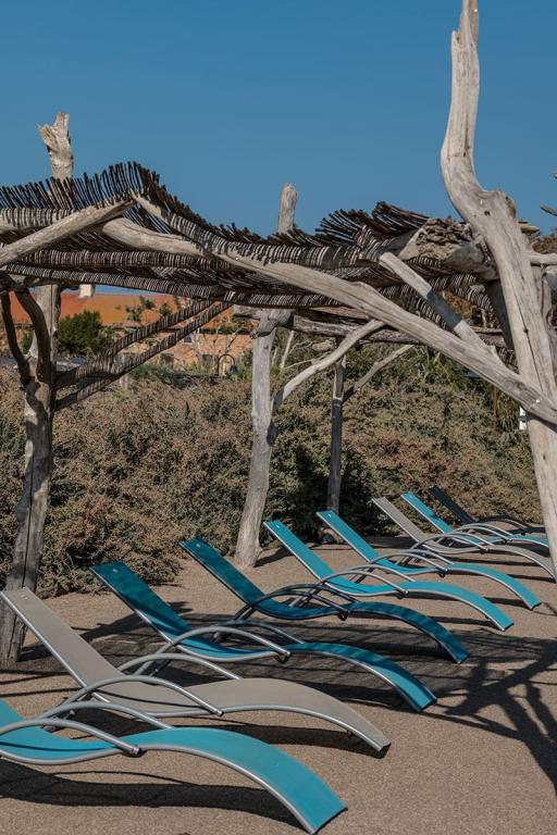 Camping Les Bois Flottés de Camargue