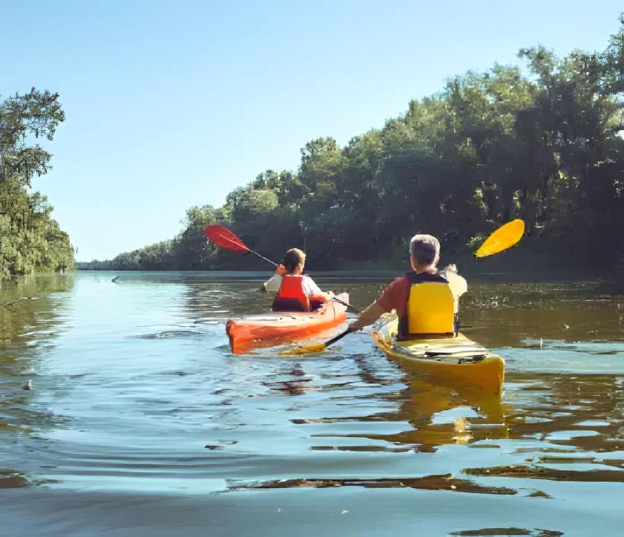Camping Au Bord de Loire
