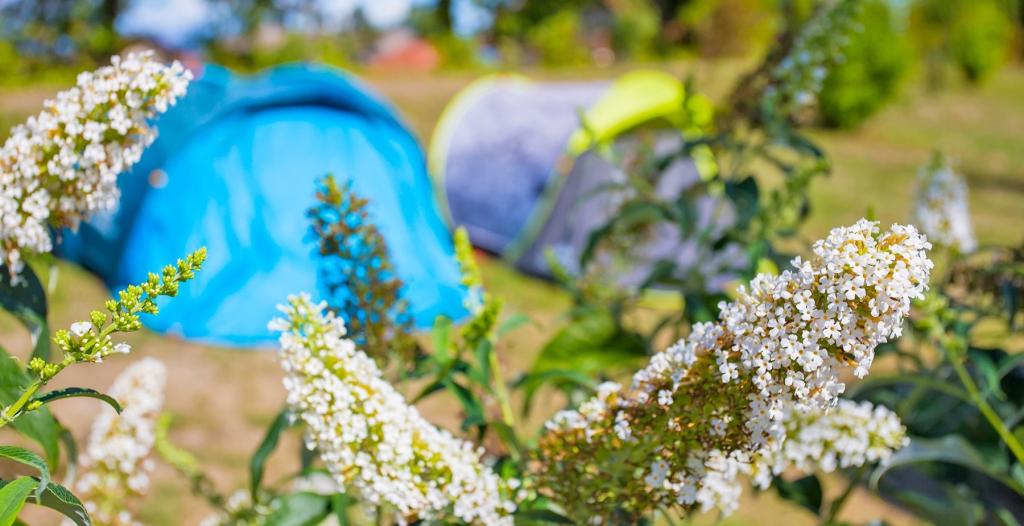 Camping La Colombière