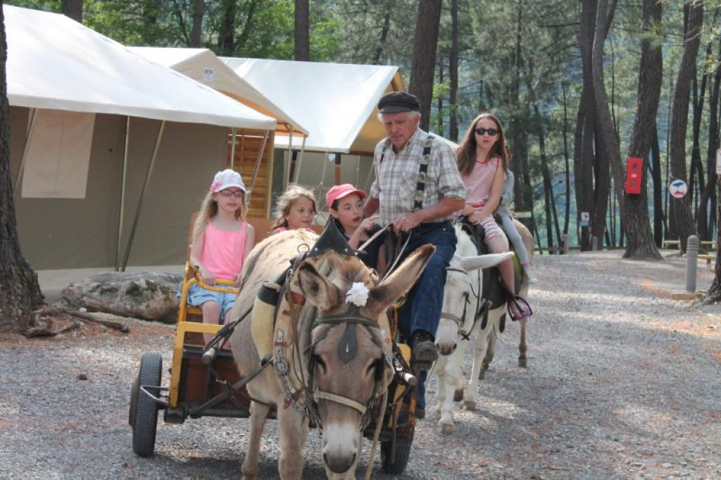 Camping Paradis Bois Simonet