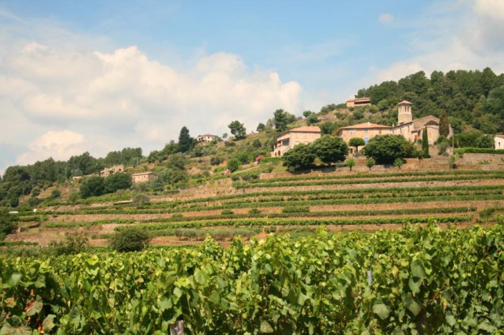 Camping Les Chataigniers