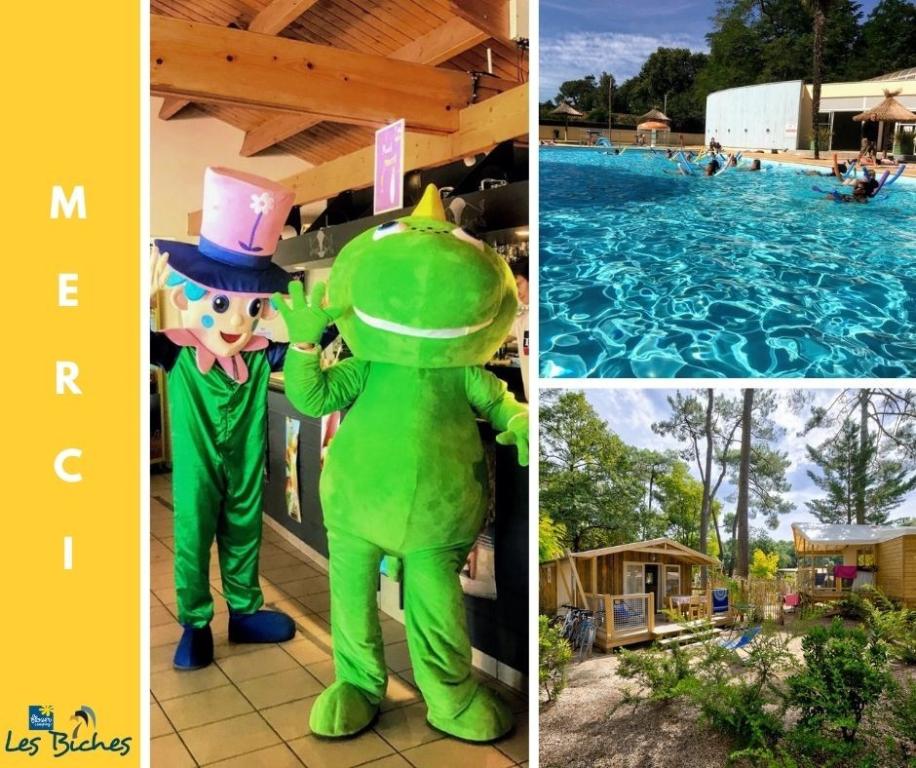 Flower Camping Les Biches