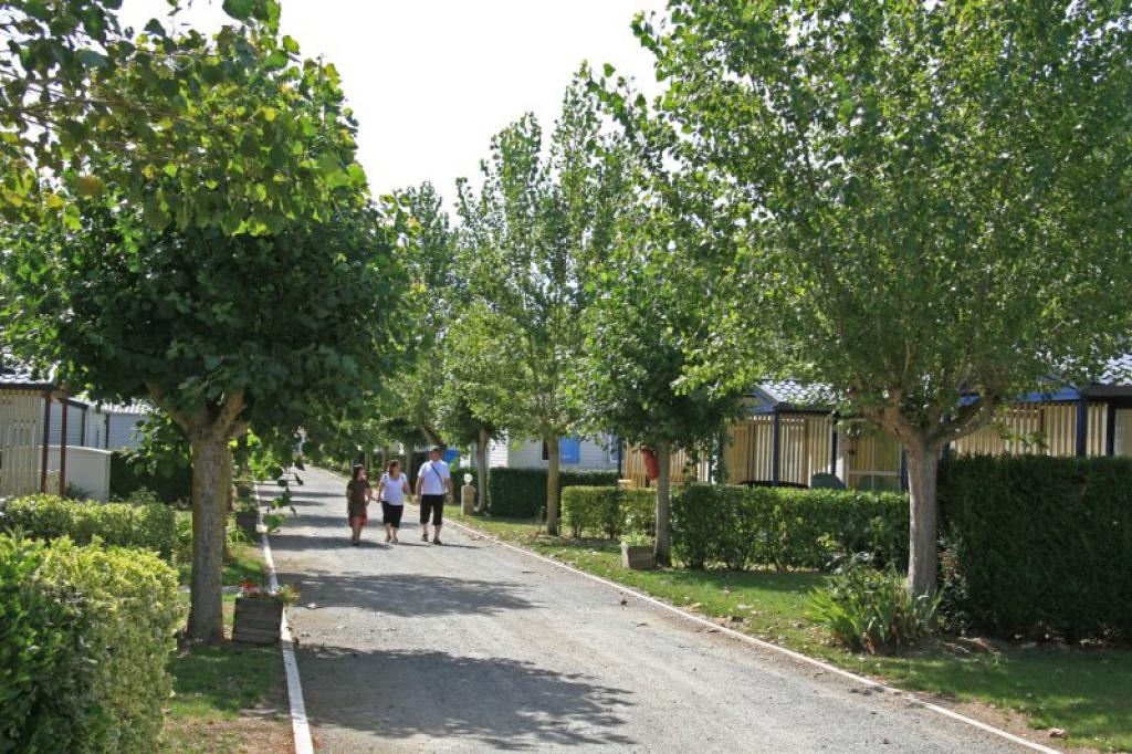 Camping Domaine Le Jardin du Marais