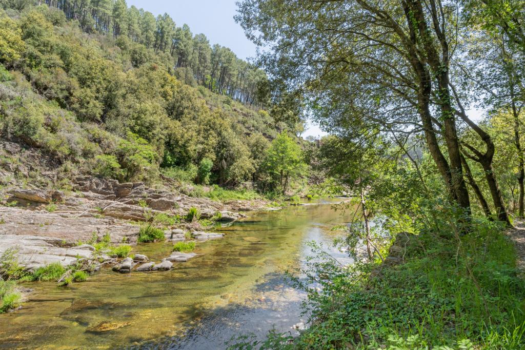 Camping Le Moulin du Luech***