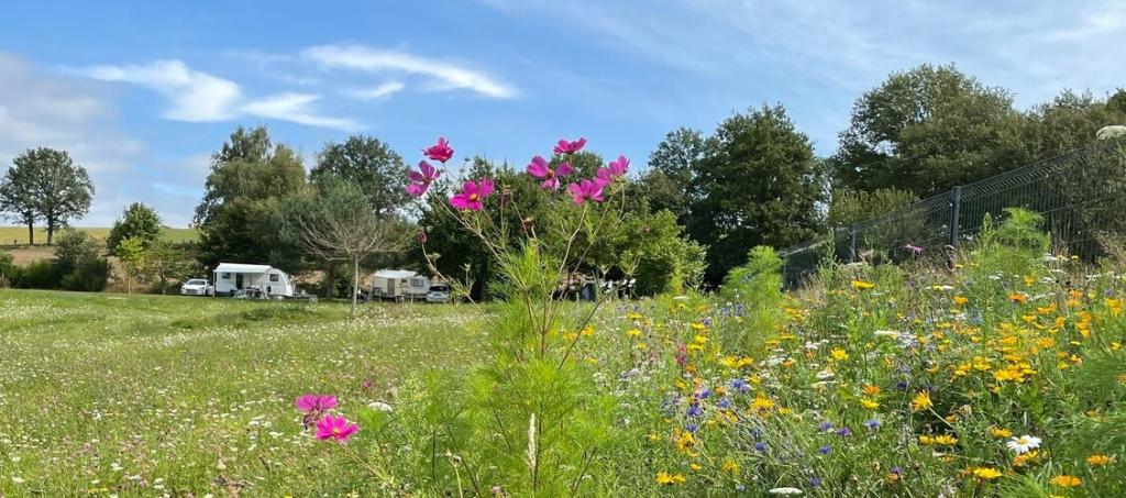 Camping Domaine Les Teuillères***