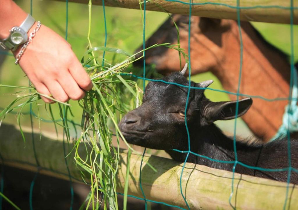 Camping SEASONOVA Haliotis 