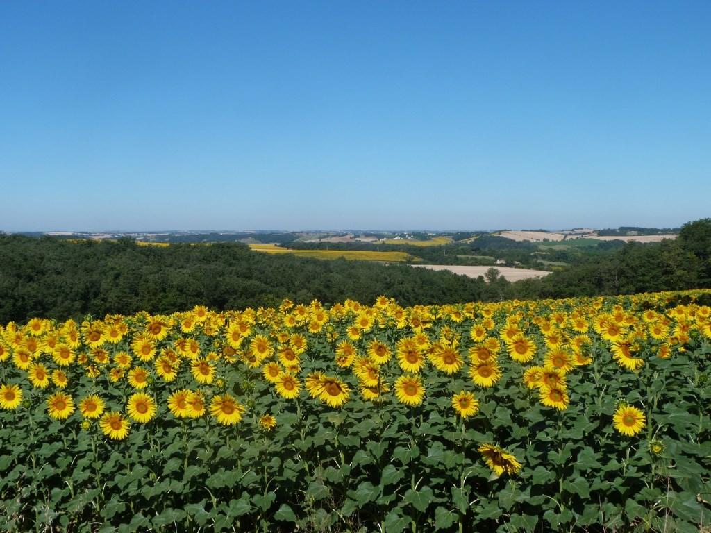 Camping Domaine St Laurent