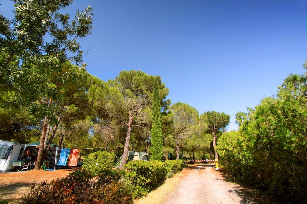 Camping Das Pinhiers