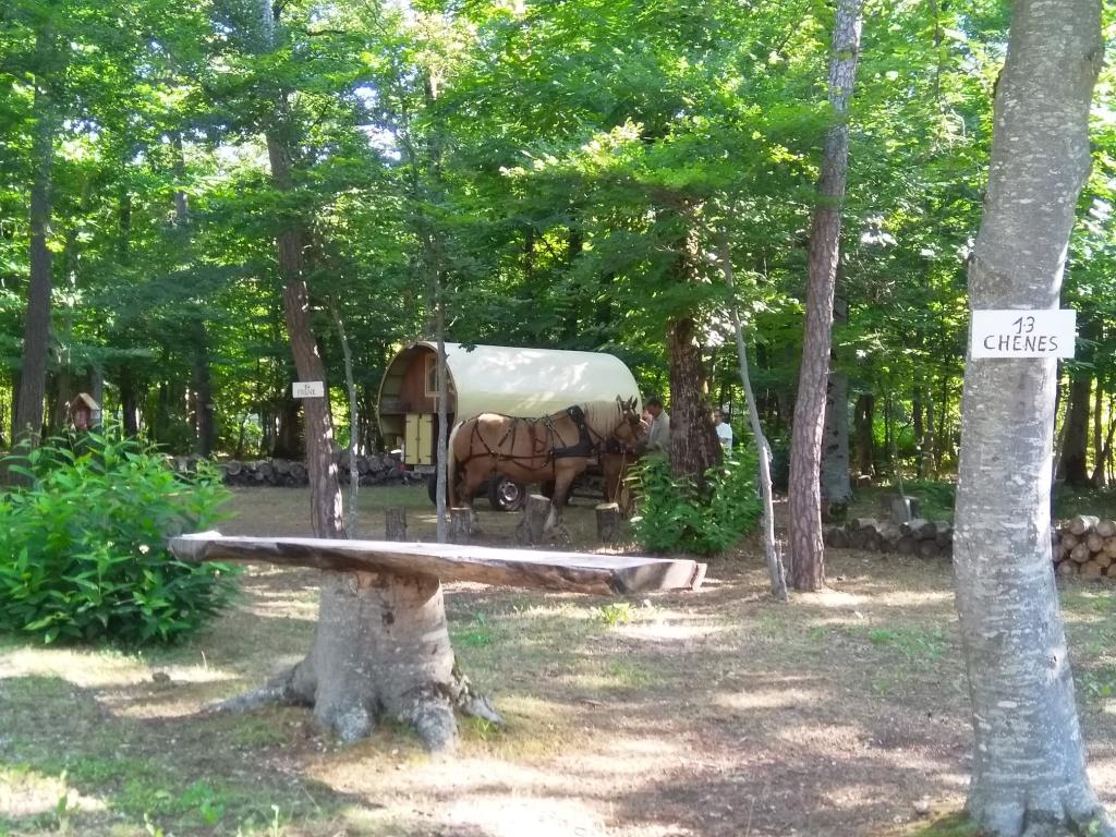 Camping L'ermitage du Grand Bois